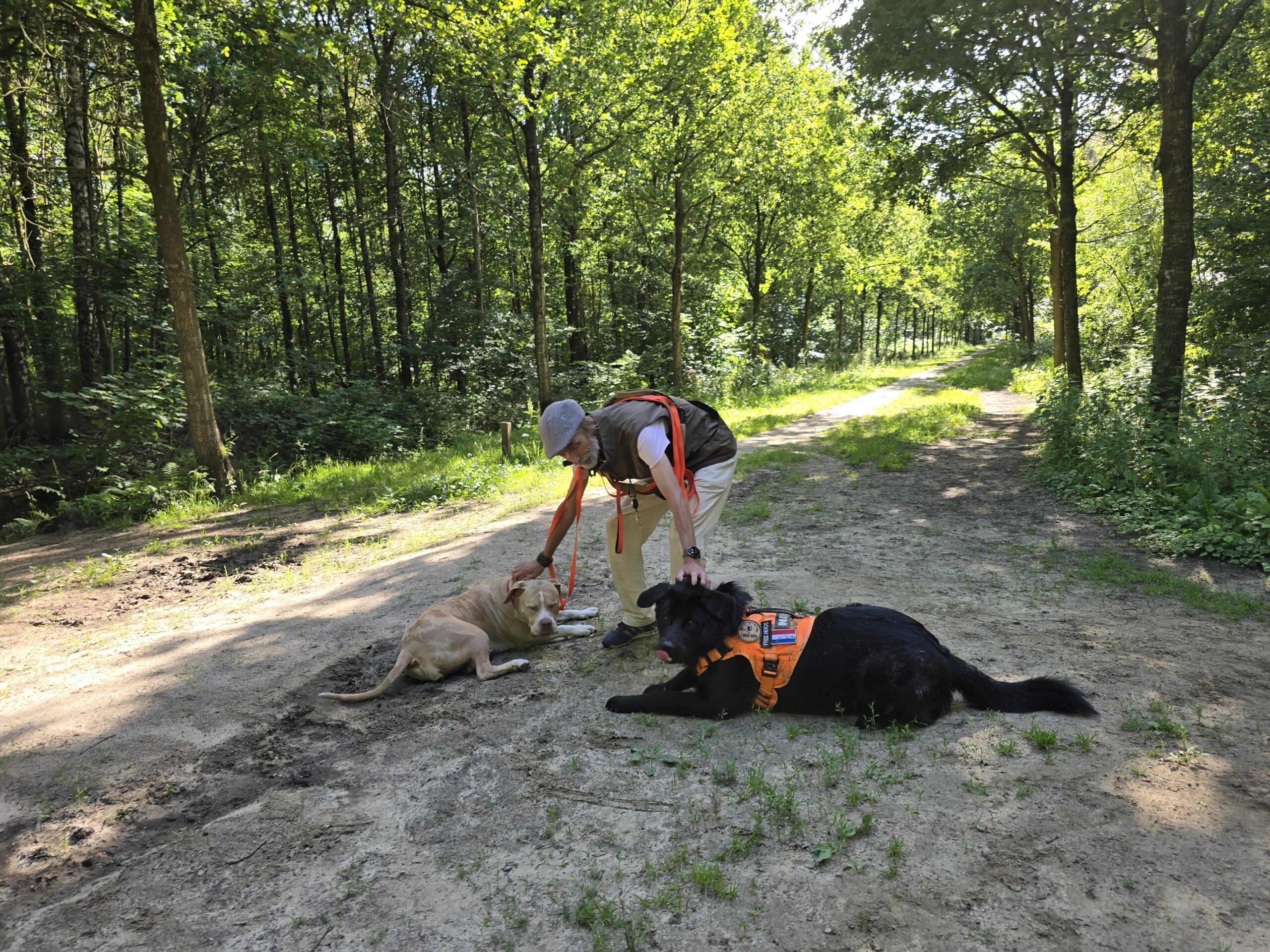 Roland geeft twee honden rustig en persoonlijk aandacht tijdens een boswandeling