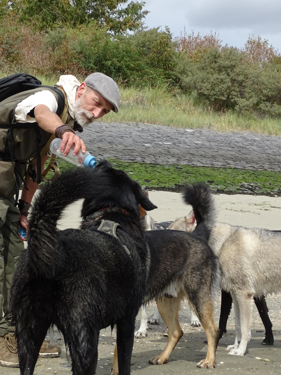 Roland verzorgt Nova en de andere honden tijdens een buitenmoment